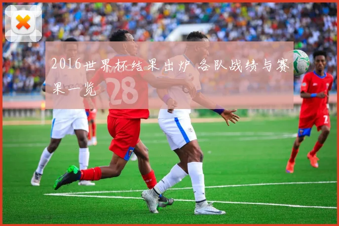 2016世界杯结果出炉 各队战绩与赛果一览